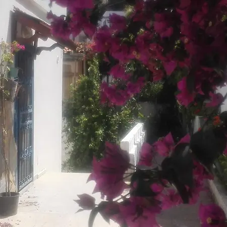 Sea View In Bodrum Akyarlar