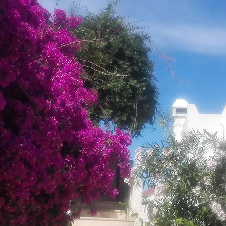 Sea View In Bodrum